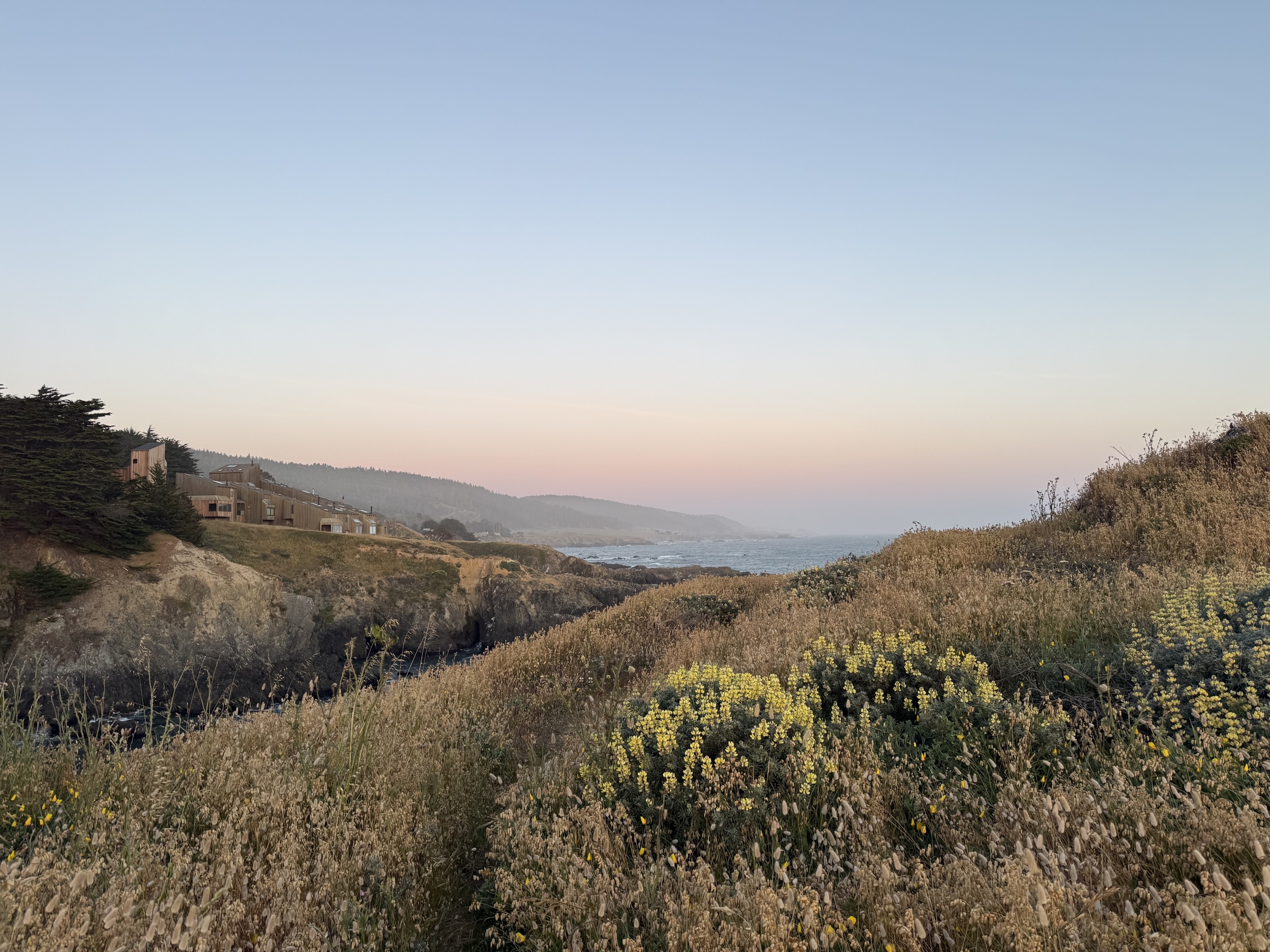 Dusk over the Sea Ranch bluffs: a pink and blue sky above a small cove, dry summer grass in the foreground and timber houses tucked into the cypress on the headland