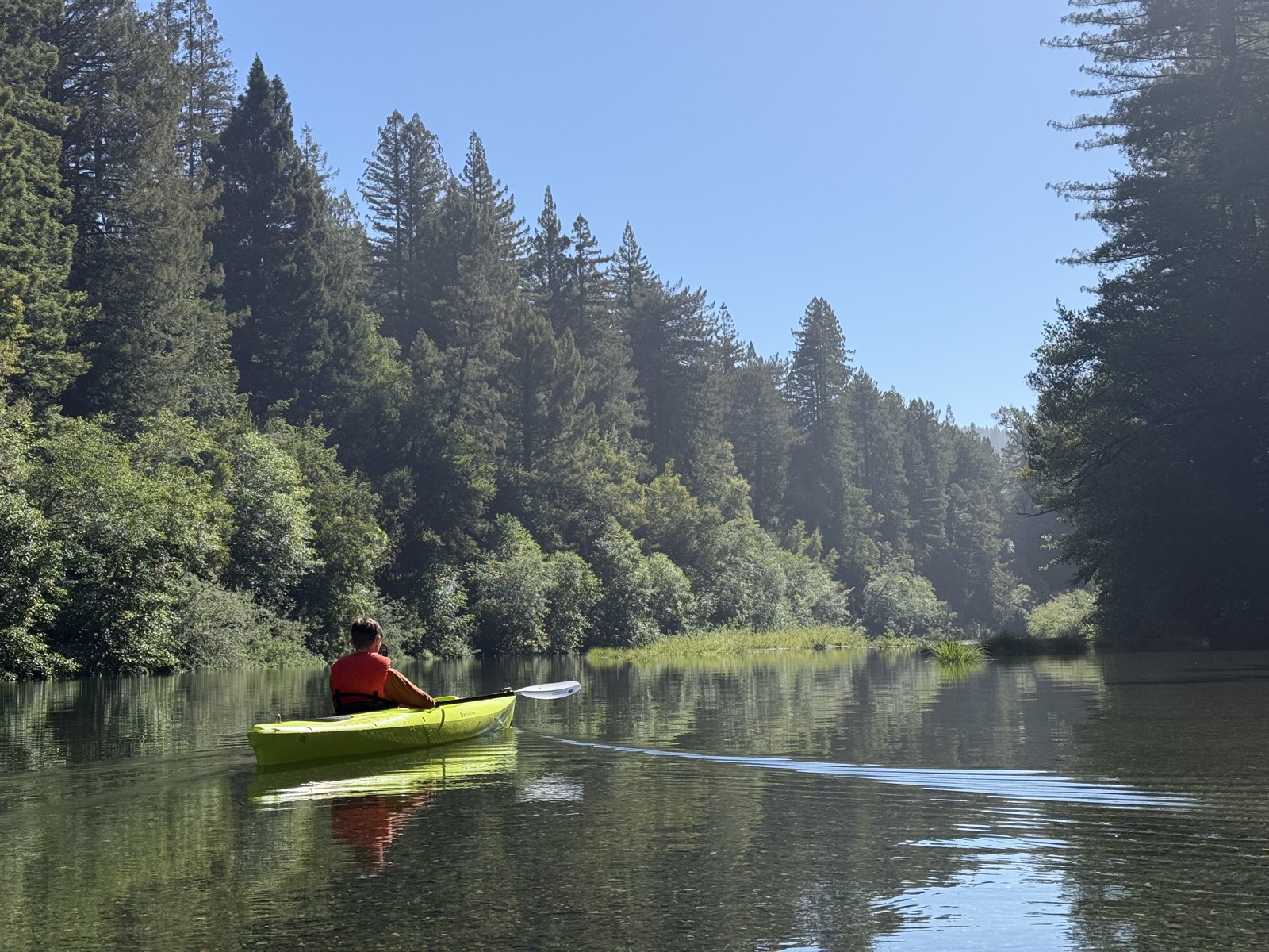 Cameron paddling a yellow kayak up the glassy Gualala River, redwoods on both banks